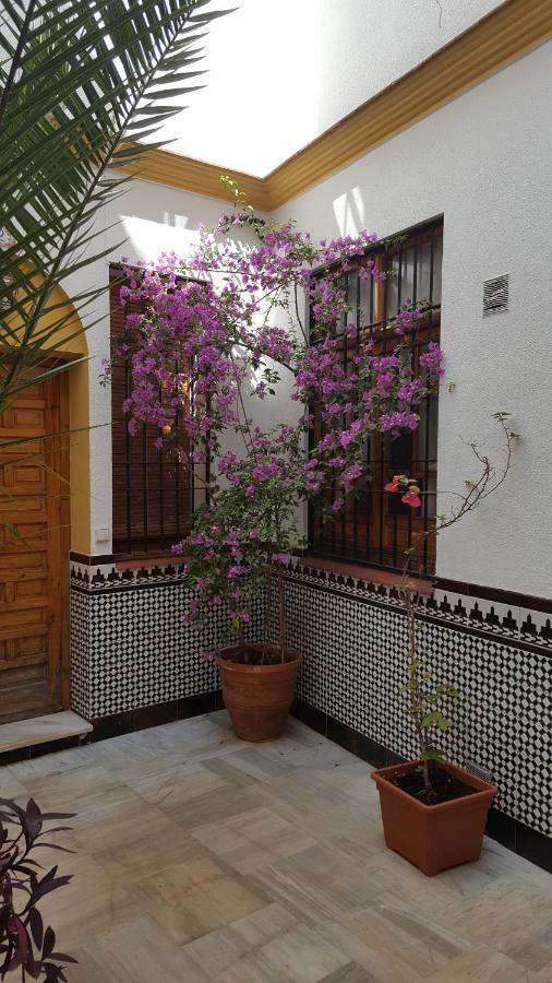 شقة قرطبة  في Casa Tipica Cordobesa المظهر الخارجي الصورة